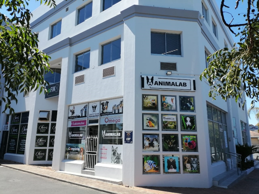 To Let commercial Property for Rent in Durbanville Western Cape